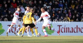 08.02.25 VfB Stuttgart II - SG Dynamo Dresden