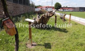 18.07.24 VfB Stuttgart Vorstellung Biodiversit&auml;ts-Lehrpfad