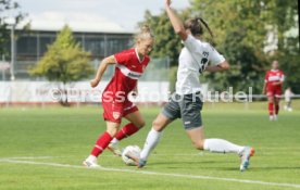 15.09.24 Frauen VfB Stuttgart - 1. FCC Hof