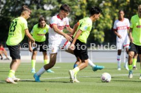 24.08.24 U19 VfB Stuttgart - U19 Stuttgarter Kickers