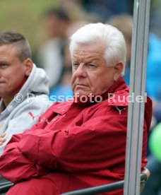 VfB Stuttgart Traditionself