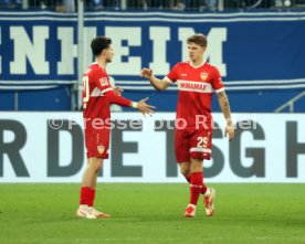 23.02.25 TSG 1899 Hoffenheim - VfB Stuttgart