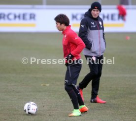 VfB Stuttgart Training