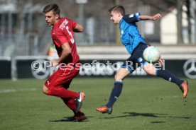 U 17 VfB Stuttgart - U19 TSG 1899 Hoffenheim