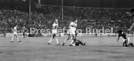 VfB Stuttgart - Cosmos New York