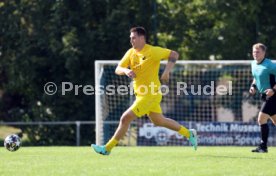 23.08.26 TSV Ph&ouml;nix Steinsfurt - SV Tiefenbach