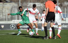 01.02.25 U19 VfB Stuttgart - U19 Borussia M&ouml;nchengladbach