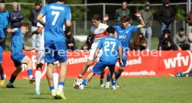 14.05.26 U19 SGV Freiberg - U19 VfB Stuttgart