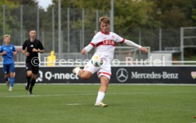 14.09.24 U17 VfB Stuttgart - U17 TSG 1899 Hoffenheim