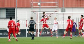 29.03.25 U17 VfB Stuttgart - U17 1. FC Köln