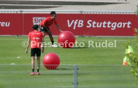 VfB Stuttgart Training