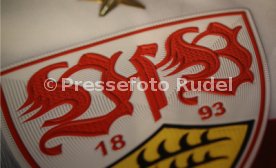 VFB Stuttgart Vorstellung Präsidentschaftskanditaten