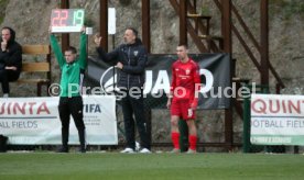 VfB Stuttgart - FC Basel