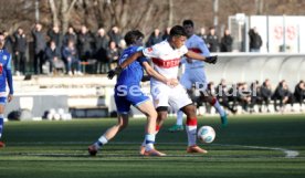 05.01.25 VfB Stuttgart - FC Luzern
