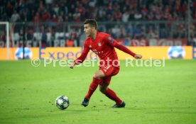 FC Bayern M&uuml;nchen - Roter Stern Belgrad