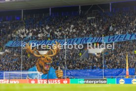 22.10.26 TSG 1899 Hoffenheim - Olympique Lyon