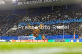 22.10.26 TSG 1899 Hoffenheim - Olympique Lyon