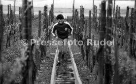 09.05.78 VfB Stuttgart Hansi M&uuml;ller Training Weinberge