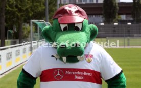 VfB Stuttgart Fototermin Saison 2017/2018