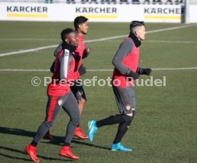 VfB Stuttgart Training