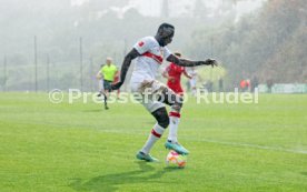 08.01.23 VfB Stuttgart - FC Sion