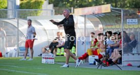 FC Winterthur - VfB Stuttgart