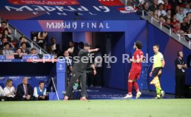 UEFA Champions League Finale 2019 Tottenham Hotspurs - FC Liverpool