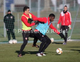 VfB Stuttgart Training