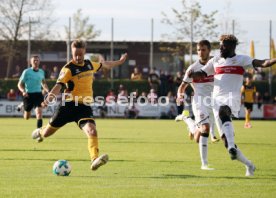 SG Dynamo Dresden - VfB Stuttgart