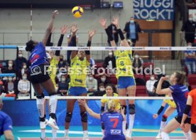 03.12.21 Allianz MTV Stuttgart - SSC Palmberg Schwerin