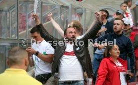 VfB Stuttgart Mitgliederversammlung 2019