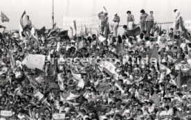 25.05.88 PSV Eindhoven - Benfica Lissabon