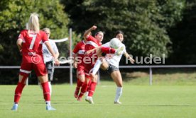 15.09.24 Frauen VfB Stuttgart - 1. FCC Hof