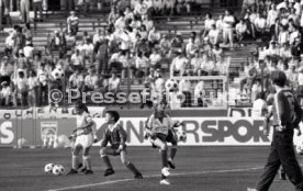 25.05.88 PSV Eindhoven - Benfica Lissabon