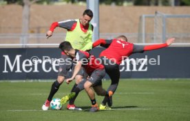 VFB Stuttgart Training