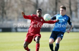 U 17 VfB Stuttgart - U19 TSG 1899 Hoffenheim