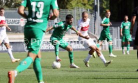 17.09.23 VfB Stuttgart II - FC Homburg