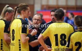 TV Nellingen - SG BBM Bietigheim