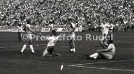 DFB-Pokal Finale 1987 Hamburger SV - Stuttgarter Kickers