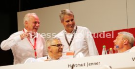 VfB Stuttgart Mitgliederversammlung Ausgliederung