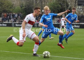 VfB Stuttgart II - TSG 1899 Hoffenheim II