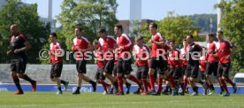VfB Stuttgart Training