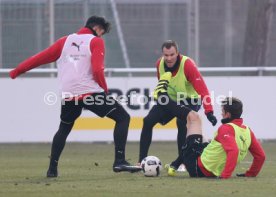 VfB Stuttgart Training