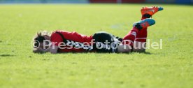 SG Sonnenhof Gro&szlig;aspach - FSV Zwickau