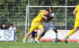 23.08.26 TSV Ph&ouml;nix Steinsfurt - SV Tiefenbach
