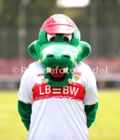 17.07.25 VfB Stuttgart II Fototermin 2025/2026