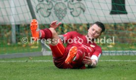 VfB Stuttgart - SV Darmstadt 98