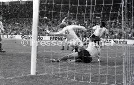 15.06.74 Polen - Argentinien
