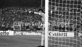 22.06.88 UDSSR - Italien