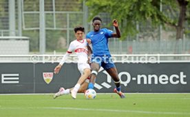 14.09.24 U17 VfB Stuttgart - U17 TSG 1899 Hoffenheim